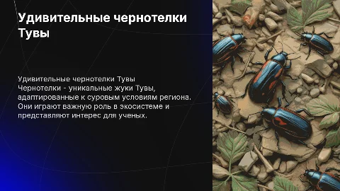 Чернотелки Тувы