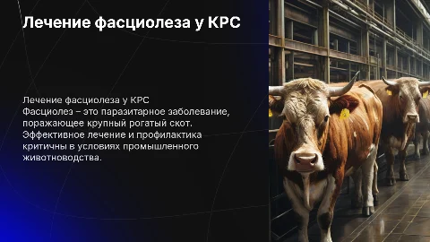 Лечение и профилактика фасциолеза у КРС: ключевые аспекты