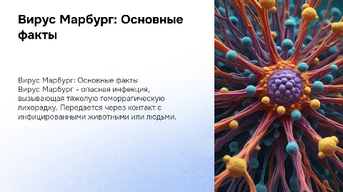 Вирус марбург