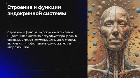 Строение и функции эндокринной системы человека