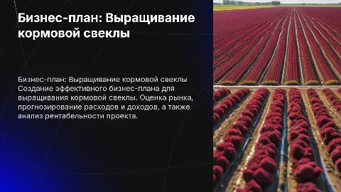 Ип бизнес план по выращиванию кормовой свеклы