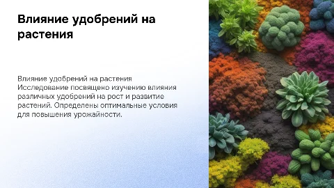 Индивидуальный проект. «Влияние удобрений на растения»