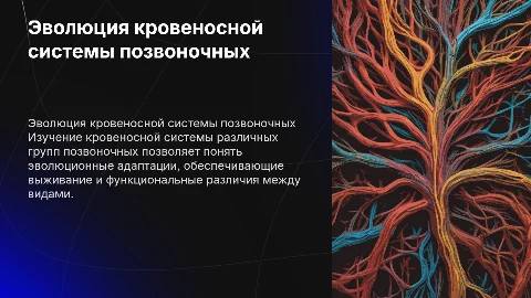 Кровеносная система позвоночных: от ланцетников до млекопитающих