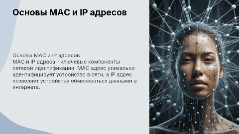 mac и ip адреса