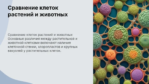 Сравнительная характеристика клеток растений и животных