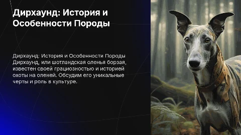 Дирхаунд