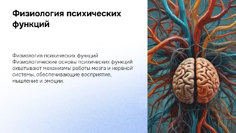 Физиологические основы психических функций человека