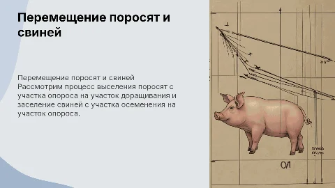 Выселение поросят и заселение свиней: управление процессами