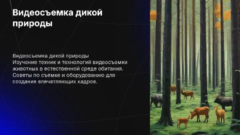 Видеосъемка животных