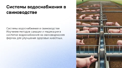 Системы водоснабжения на свиноводческих фермах