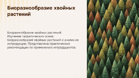 Теоретические аспекты биоразнообразия хвойных растений