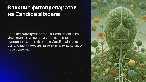 Актуальность фитопрепаратов на Candida albicans