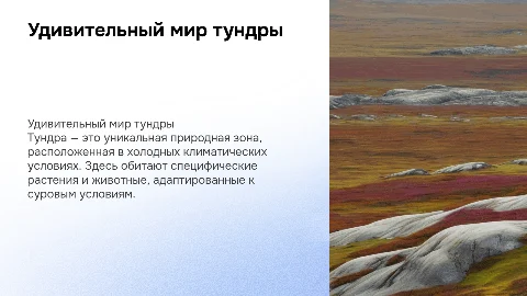 Тундра для 4 класса