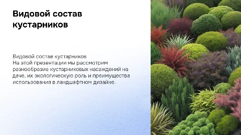 Видовой состав кустарниковых насаждений на даче