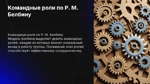 Командные роли по Р.М.Белбину