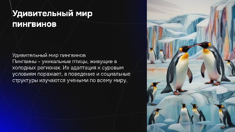 пингвины