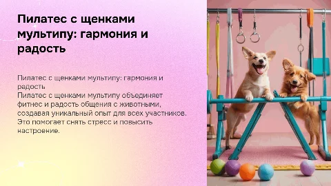 Пилатес с щенками(мультипу)