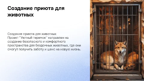 создание приюта для бездомных животных "Уютный теремок"