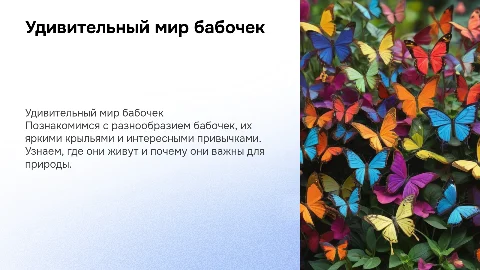 мир бабочек для детей 4-5 лет