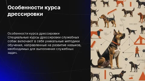 особенности специального курса дрессировки служебных собак