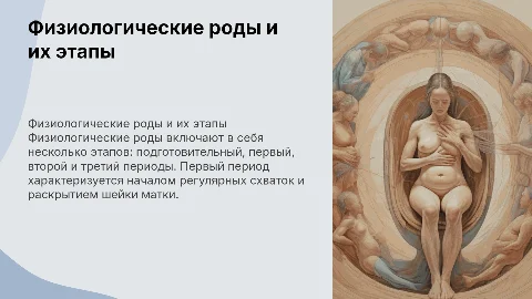 Физиологические роды: этапы, контракция и ретракция