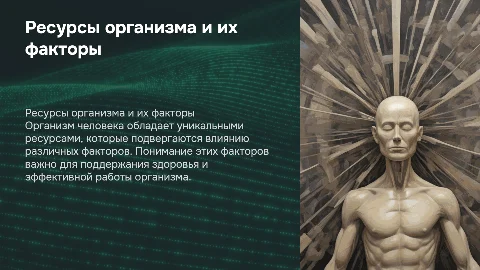 Ресурсы организма и факторы влияния на них