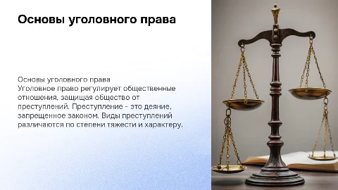 Основные принципы уголовного права и понятие преступления