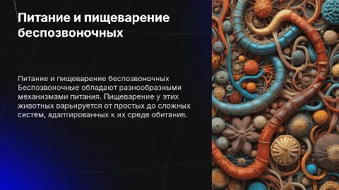 Питание и пищеварение беспозвоночных животных