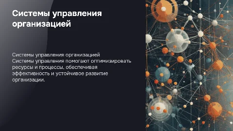 Системы управления организацией
