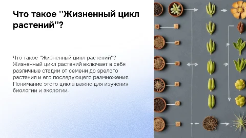Что такое ''Жизненный цикл растений''?