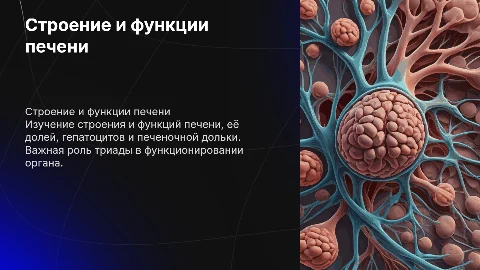 Строение и функции печени: доли, гепатоциты и триада