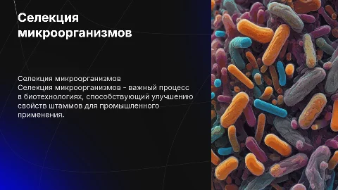 селекция микроорганизмов побольше картинок меньше текста