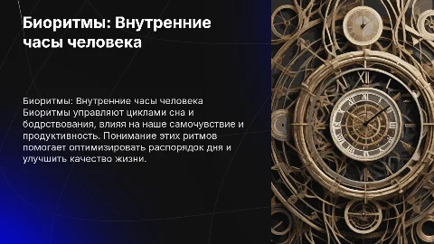 Биоритмы - внутренние часы человека