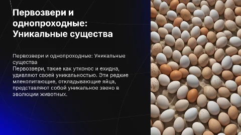 Первозвери и однопроходные