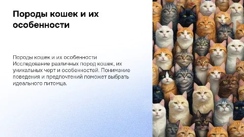 породы кошек и их особенности