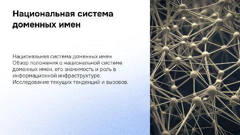 Положение о национальной системе доменных имен