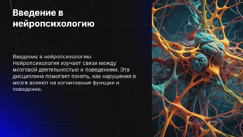 Нейропсихология