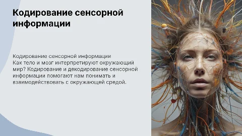 Как тело и мозг понимают мир: кодирование сенсорной информации