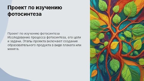 Проект по изучению фотосинтеза: цели и задачи