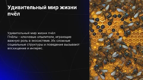 жизнь пчёл