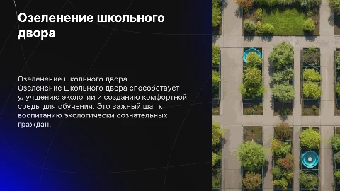 Озеленение школьного двора