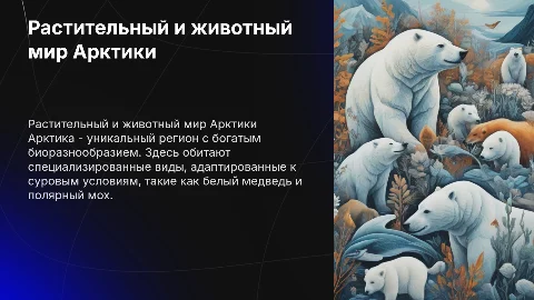 Растительный и животный мир Арктики