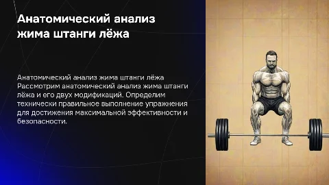 Анатомический анализ жима штанги лёжа и его модификаций