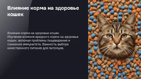 Влияние вредного корма на кошек