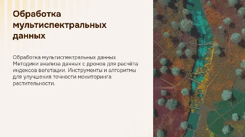 Методика обработки мультиспектральных данных с БВС и индексы вегетации