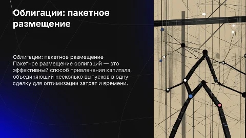 Облигации-пакетное размещение”