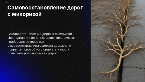 Разработка технологии самовосстановления дорожного покрытия