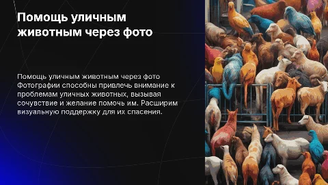 больше фотографий помощи уличным животным