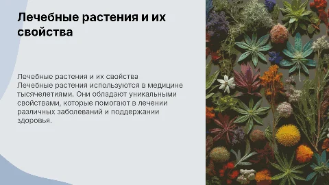 лечебные растения