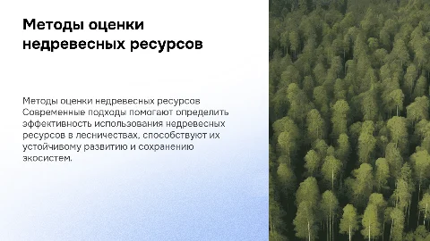 Методические подходы к оценке недревесных лесных ресурсов